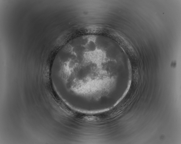 X0000093740557200711061026