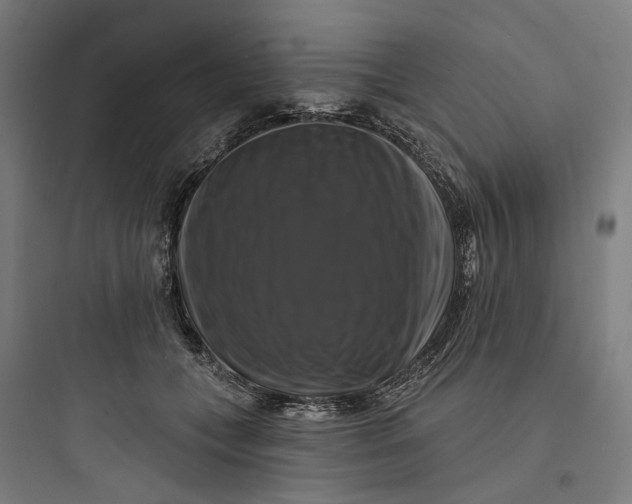 X0000093740559200711061026