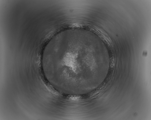 X0000093740560200711061026