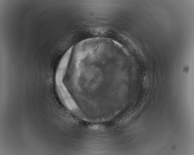 X0000093740561200711061027