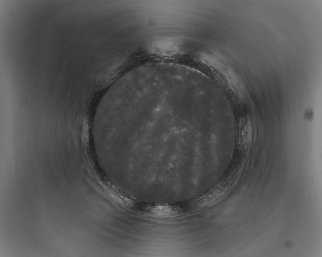 X0000093740562200711061027