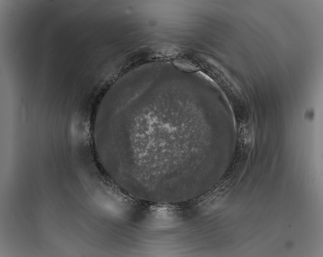 X0000093740564200711061027