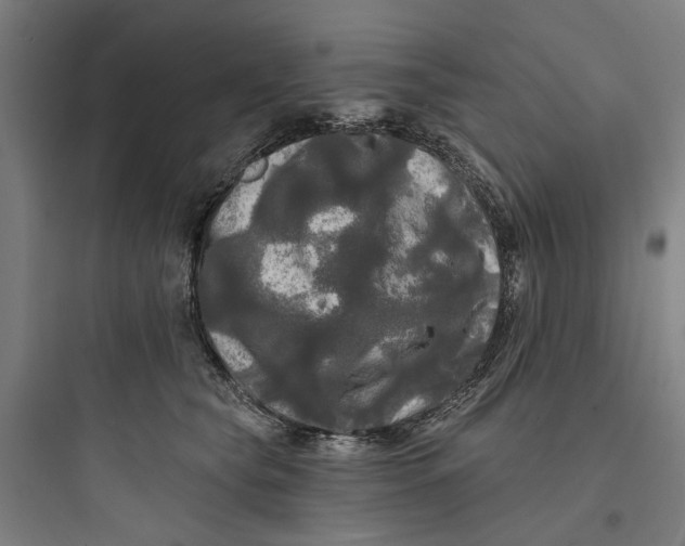 X0000093740565200711061027