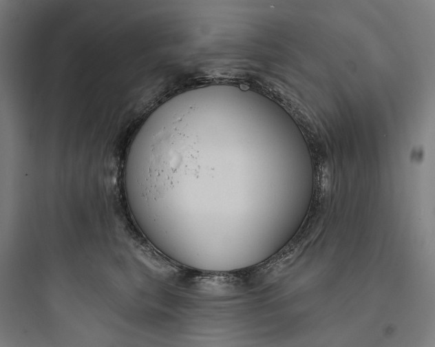 X0000093740567200711061027