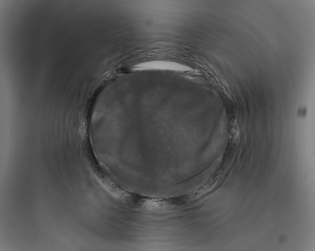 X0000093740568200711061027