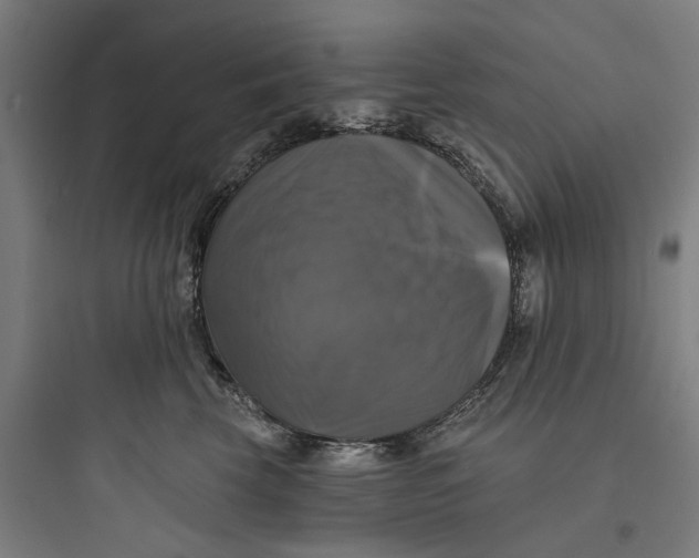 X0000093740569200711061027