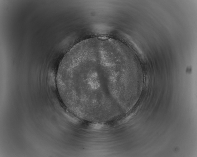 X0000093740575200711061027