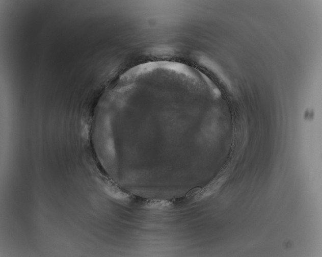 X0000093740576200711061027