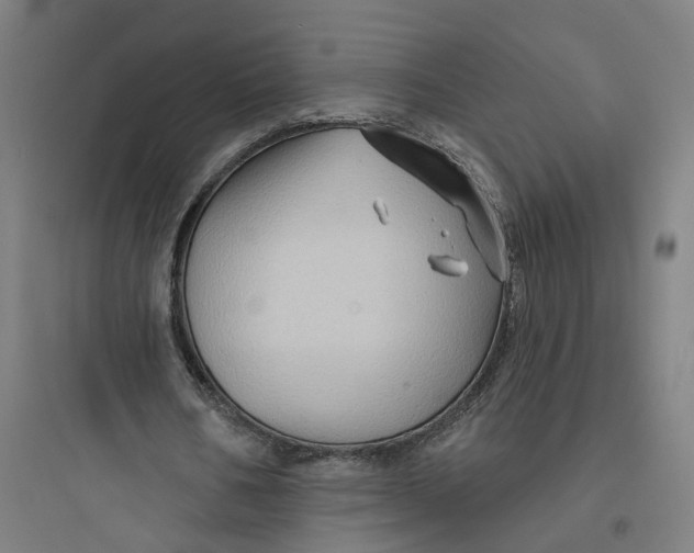 X0000093740578200711061026