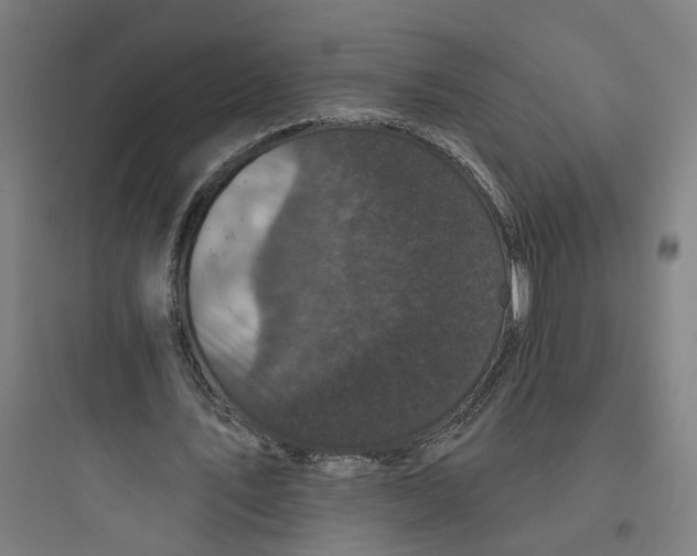 X0000093740579200711061026