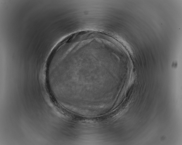 X0000093740580200711061026