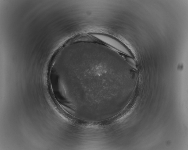 X0000093740581200711061026