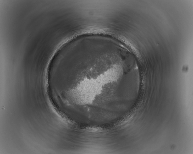 X0000093740582200711061026