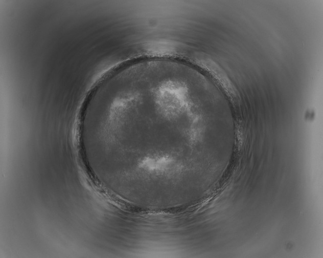 X0000093740583200711061026