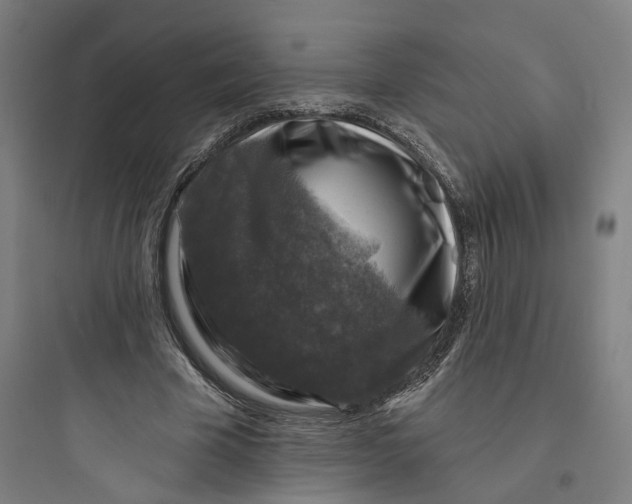 X0000093740585200711061026