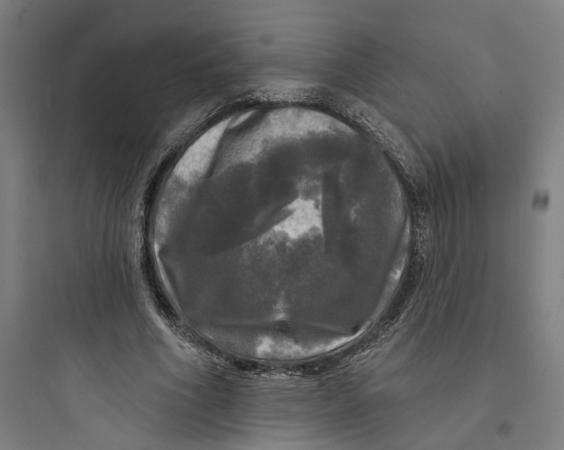 X0000093740586200711061026