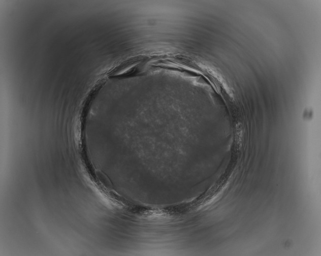 X0000093740589200711061026