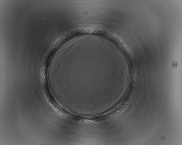 X0000093740590200711061026