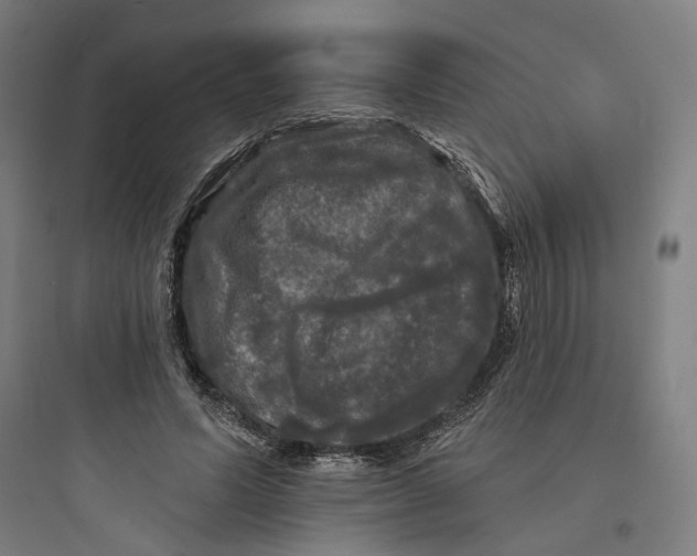 X0000093740591200711061026