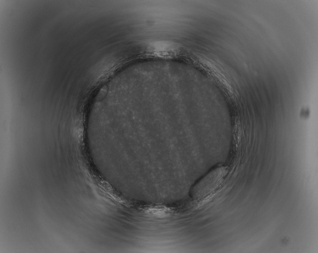 X0000093740595200711061026