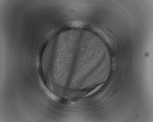 X0000093740597200711061026