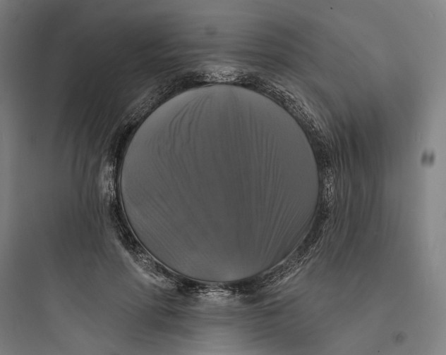 X0000093740598200711061026