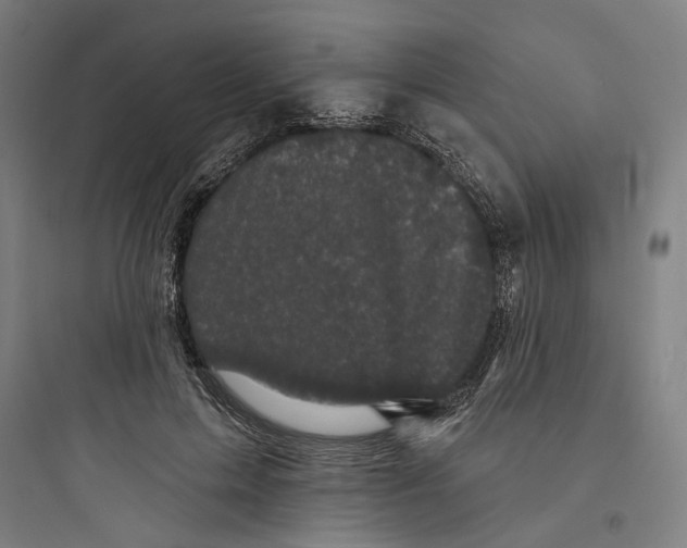 X0000093740599200711061026