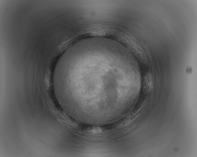 X0000093740600200711061026