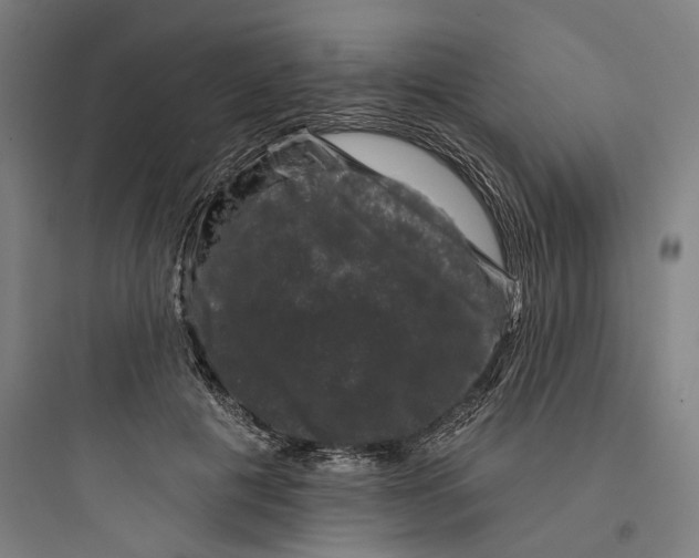 X0000093740601200711061026