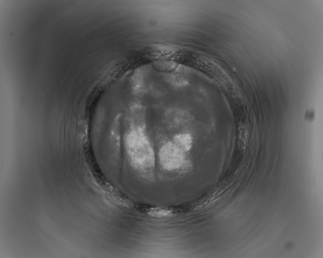 X0000093740602200711061026