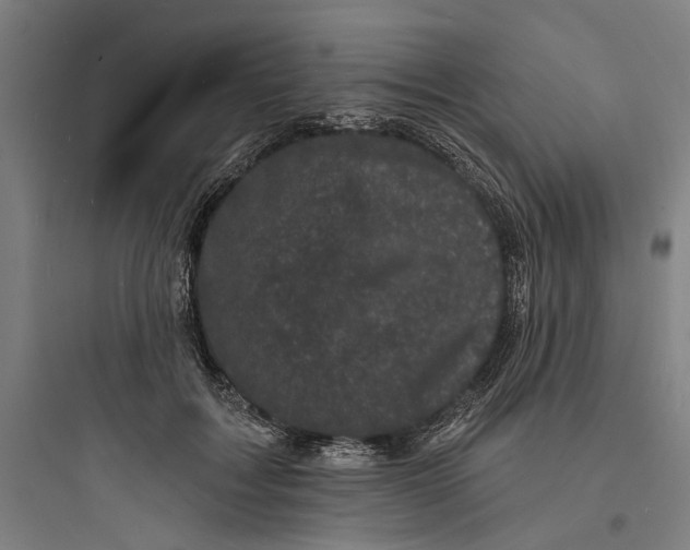 X0000093740603200711061026