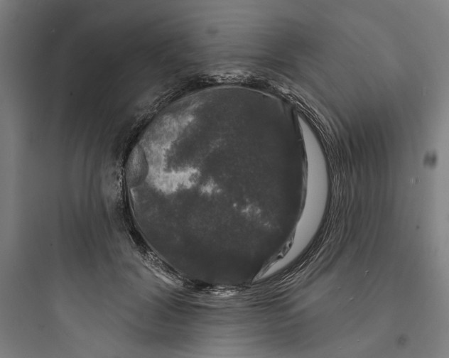 X0000093740604200711061025