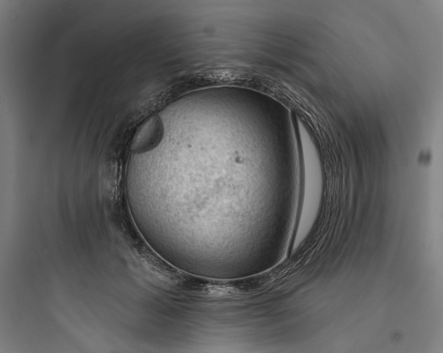 X0000093740605200711061025