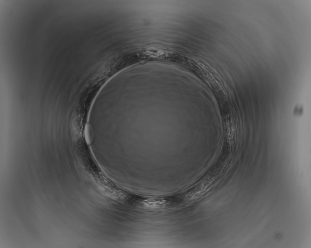 X0000093740606200711061025