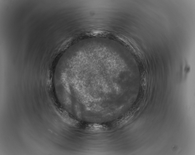 X0000093740607200711061025