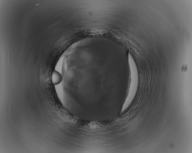 X0000093740608200711061025