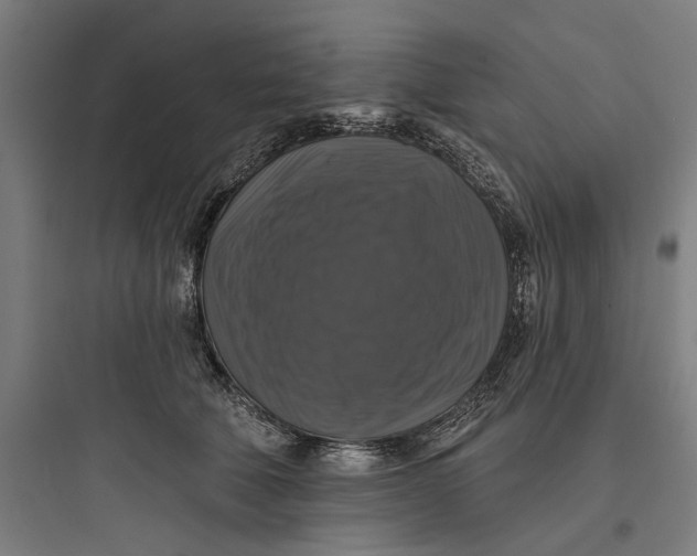 X0000093740610200711061025