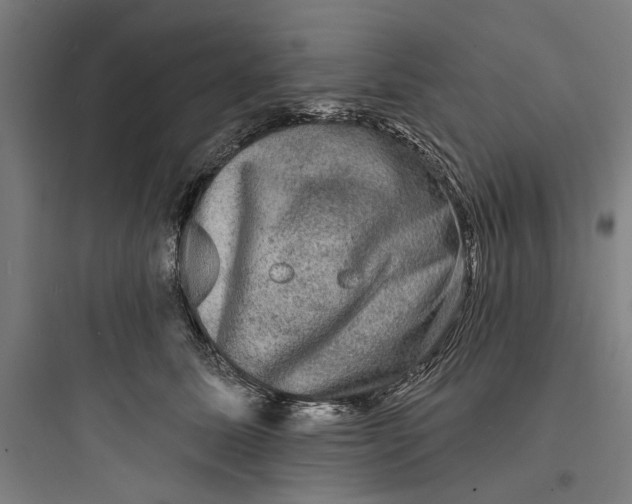 X0000093740611200711061025