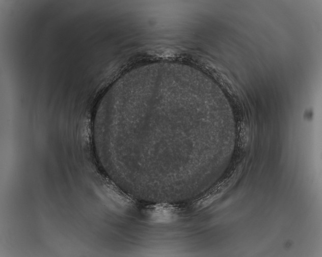 X0000093740612200711061025