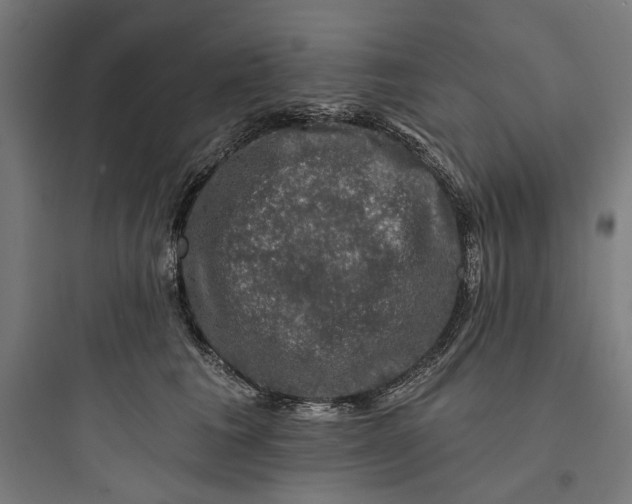 X0000093740613200711061025