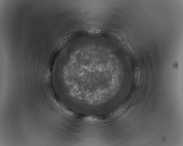 X0000093740614200711061025