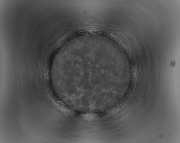 X0000093740615200711061025