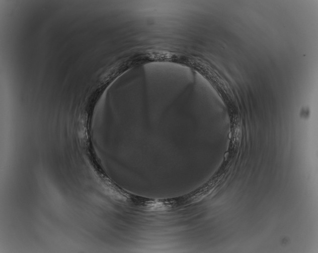 X0000093740616200711061025