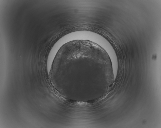 X0000093740617200711061025