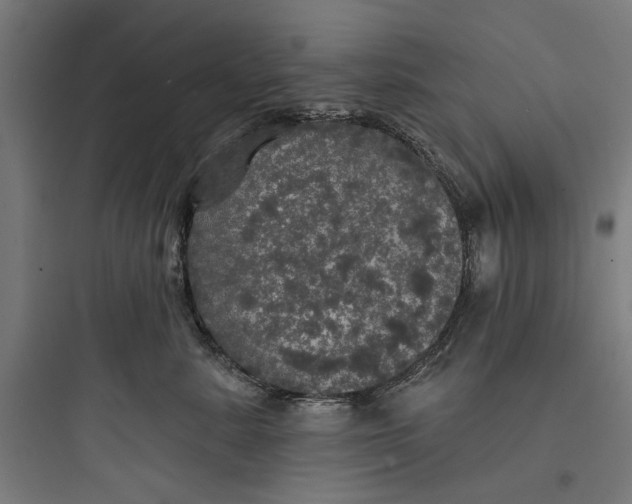 X0000093740619200711061025