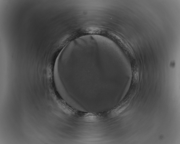 X0000093740620200711061025