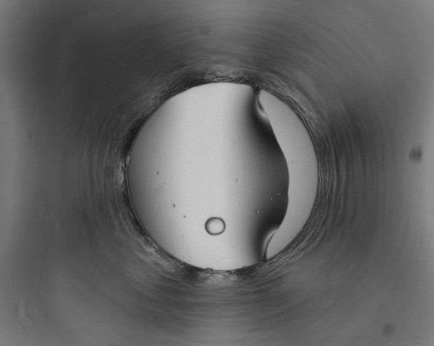 X0000093740621200711061025