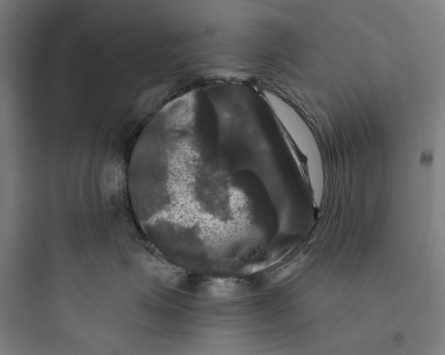 X0000093740623200711061025