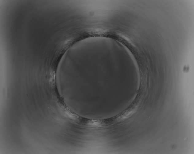 X0000093740624200711061025