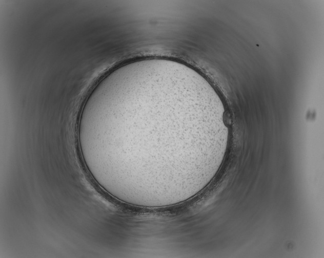 X0000093740625200711061024